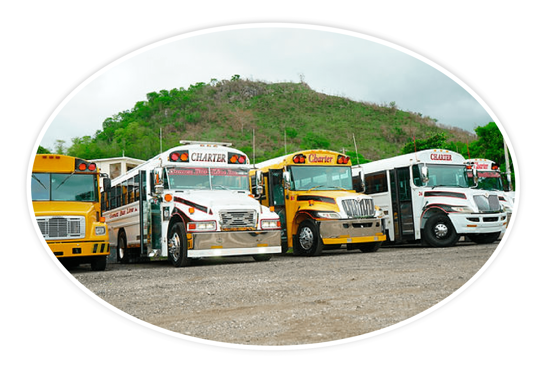 Empresa de transporte (autobuses)